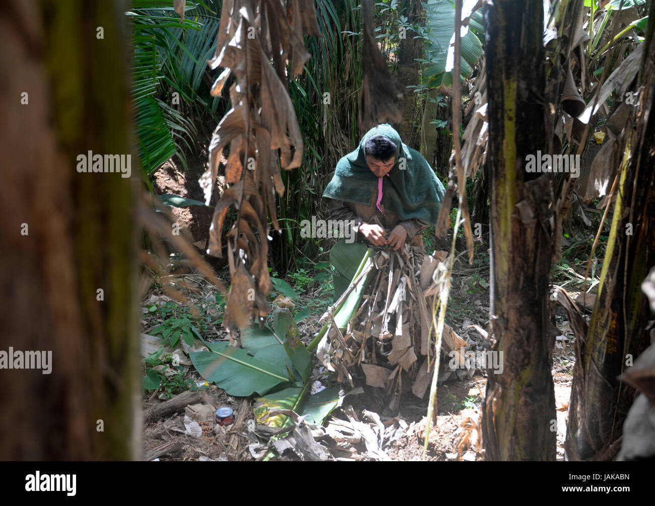 Un homme un ensemble de chaînes Boruca costume de feuilles de bananier séchées pendant l'Juegos de Los Diablitos, une cérémonie à Boruca, Costa Rica le Jan Banque D'Images
