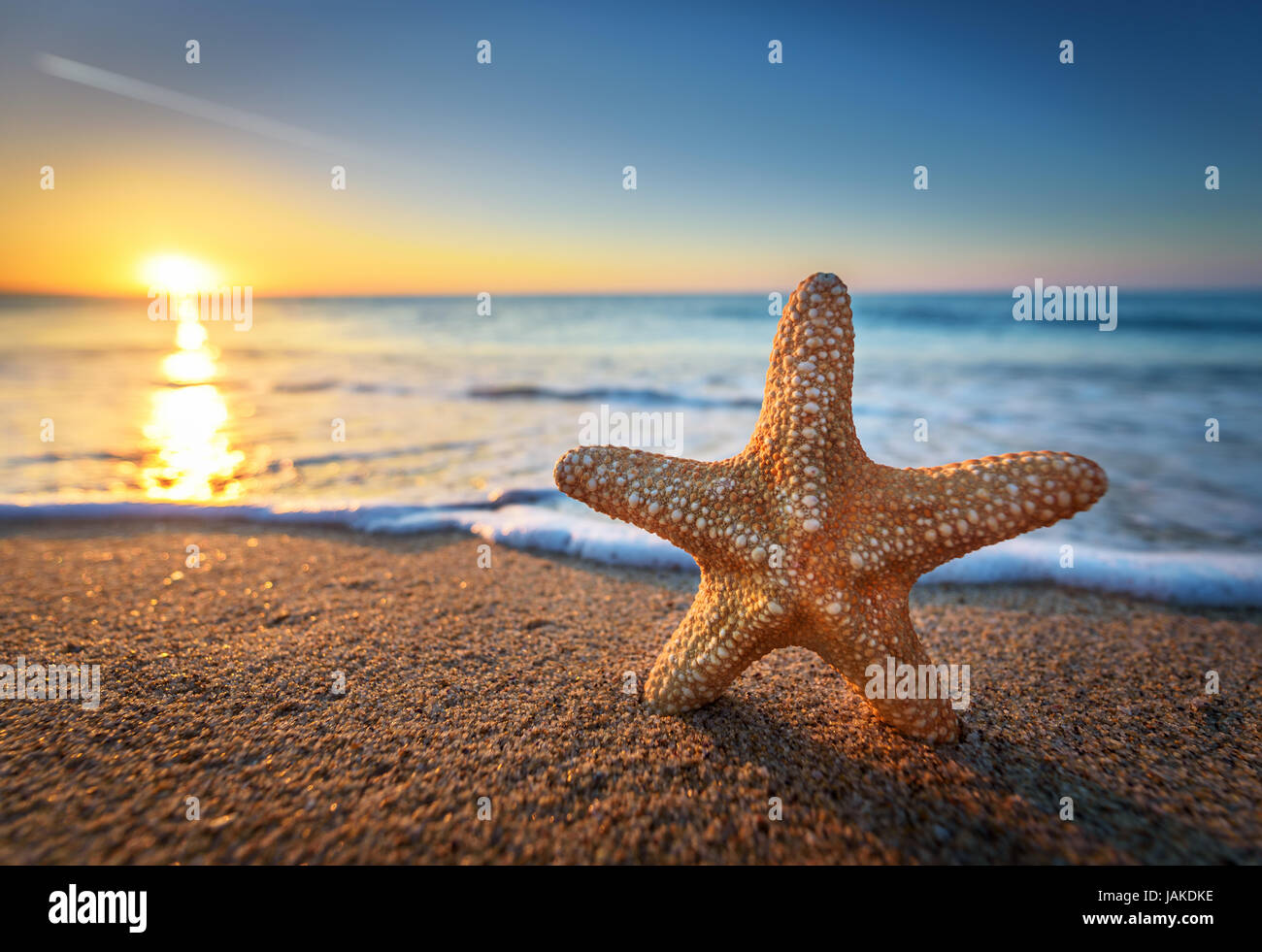 Belle Plage Avec Sunrise Se Concentrer Sur Létoile De Mer