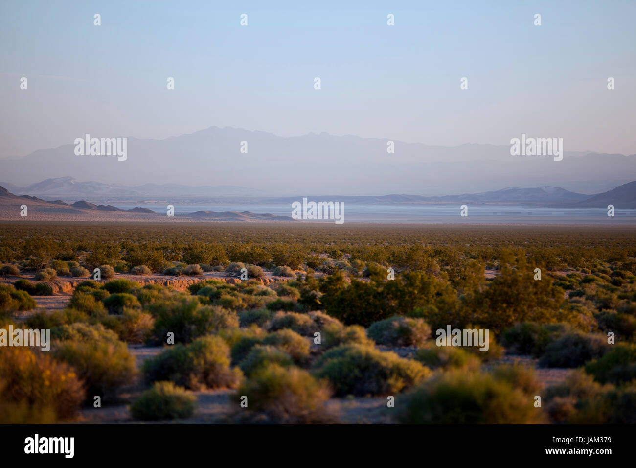 Paysage du désert de Mojave en Californie - USA Banque D'Images