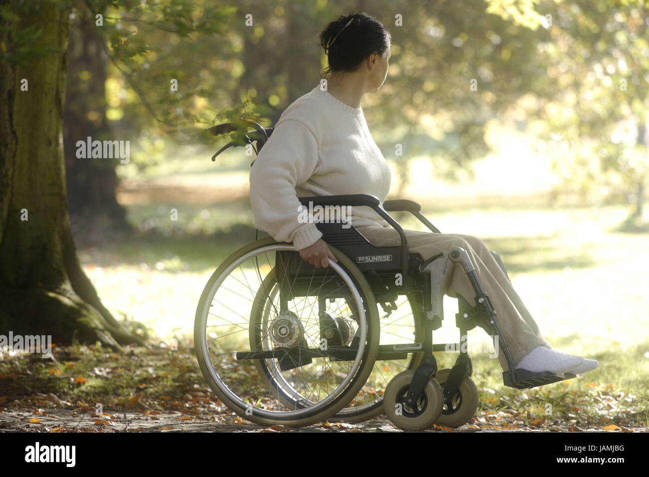 L'invalide en fauteuil,pilote, parc Banque D'Images