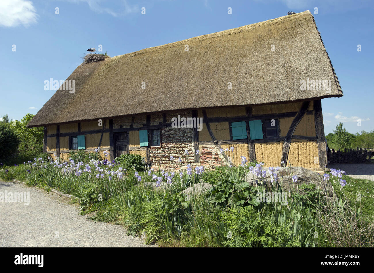 France, Alsace, Haut-Rhin,Accueil,Ungers Ecomusée d'Alsace,maison à colombages,stork|s nest, Banque D'Images