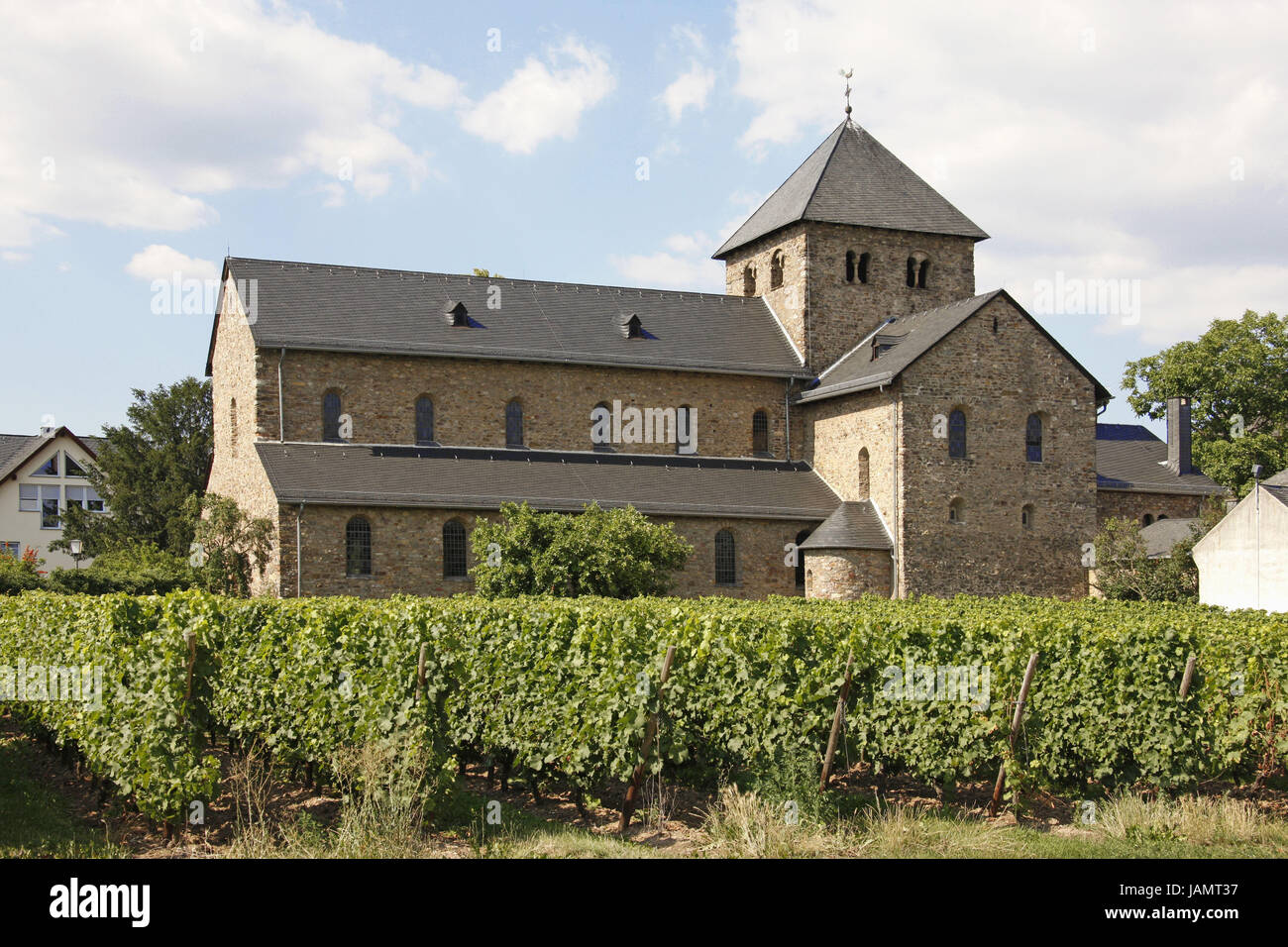 Allemagne,Hessen,Oestrich,Accueil,l'angle moyen St. Aegidius basilique,ville,endroit d'intérêt,basilique,minster,construction,sacré le Rheingau,Hesse rhénane,viticulture viticole,église,construction,sacré,architecture,à l'extérieur,déserte, Banque D'Images