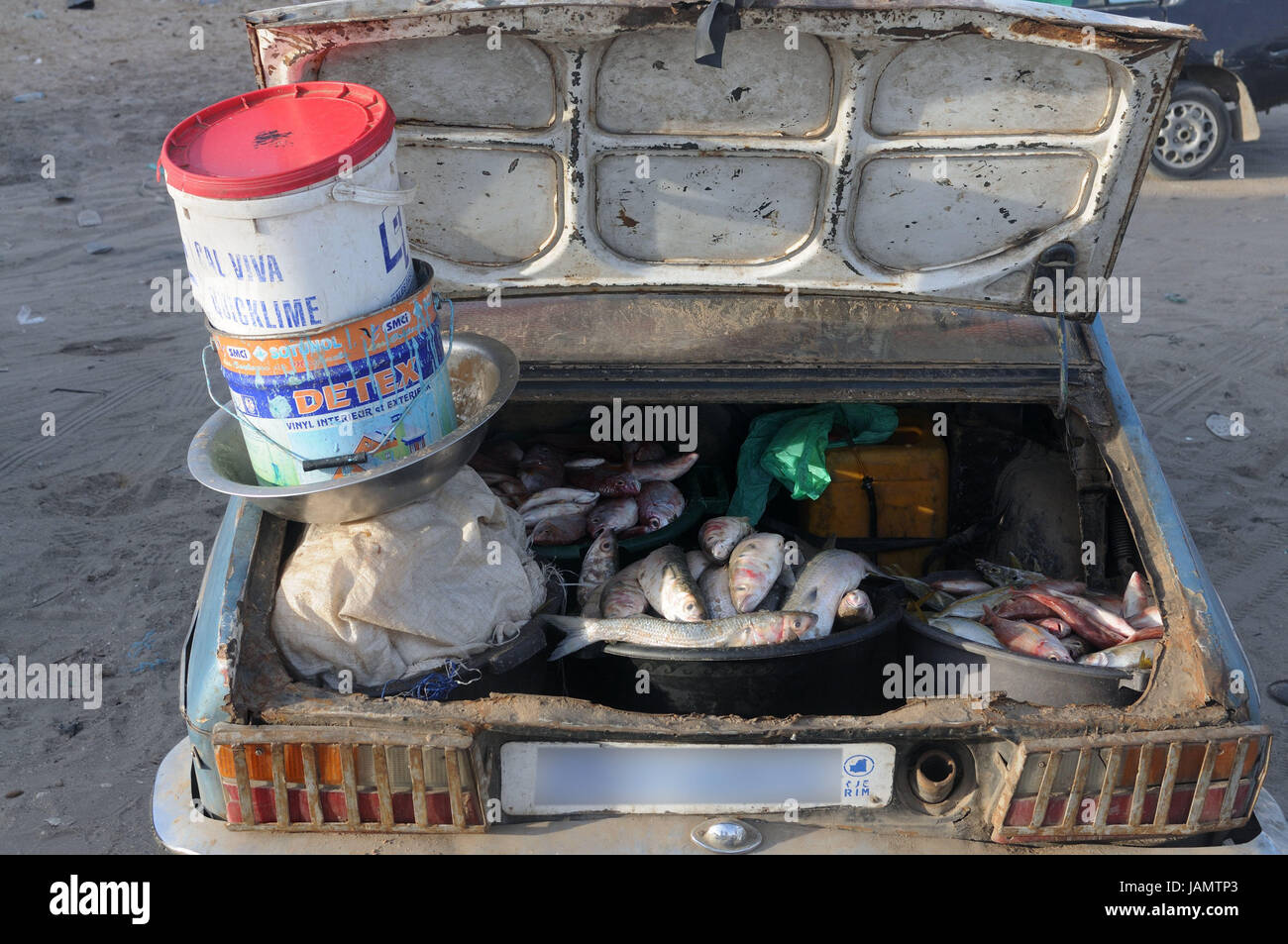 Mauritanie Nouakchott,poisson,marche,location,voile,responsable,poisson,benne,Afrique,l'Afrique de l'Ouest,ville,marché,capital commerce,économie,pêche,pêche,vente,achat,fraîchement,transport,vieux,dirtily dirtily unhygienically,,, Banque D'Images