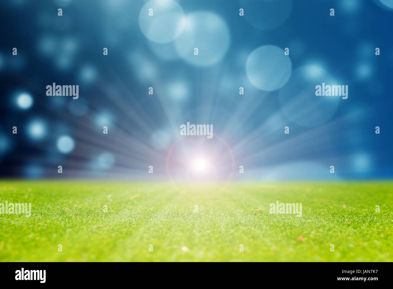 L'herbe verte naturelle avec effet de couleur bleu bokeh abstract background, belle illustration Banque D'Images