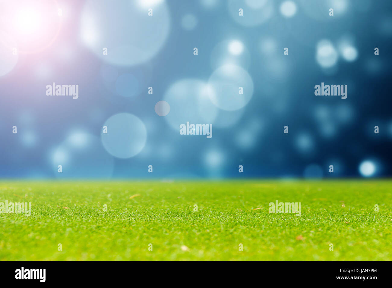 L'herbe verte naturelle avec effet de couleur bleu bokeh abstract background, belle illustration Banque D'Images