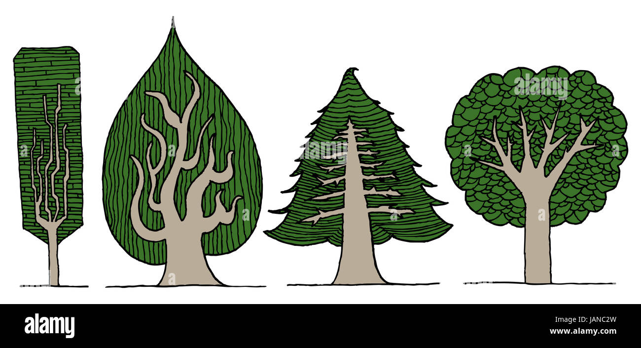 Hand drawn vector set arbre exotique Banque D'Images