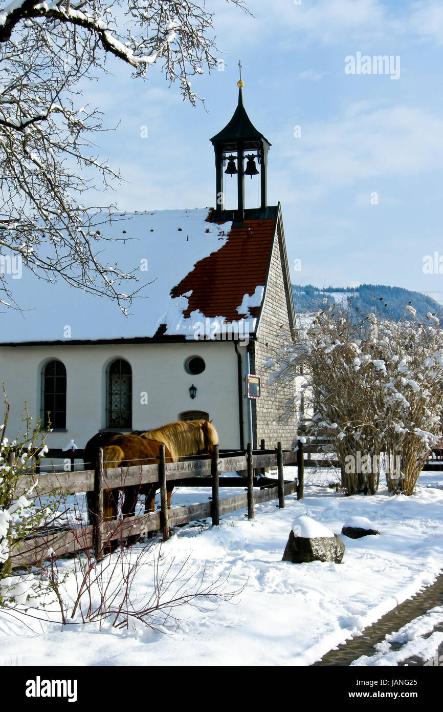 Schnee bedeckte wald natur landschaft hiver kaltes wetter Banque D'Images