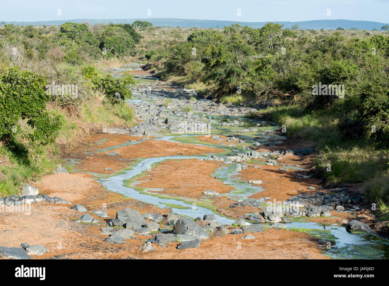 Paysage pittoresque de juste un filet d'eau dans l'une des rivières dans le Parc National Kruger Banque D'Images