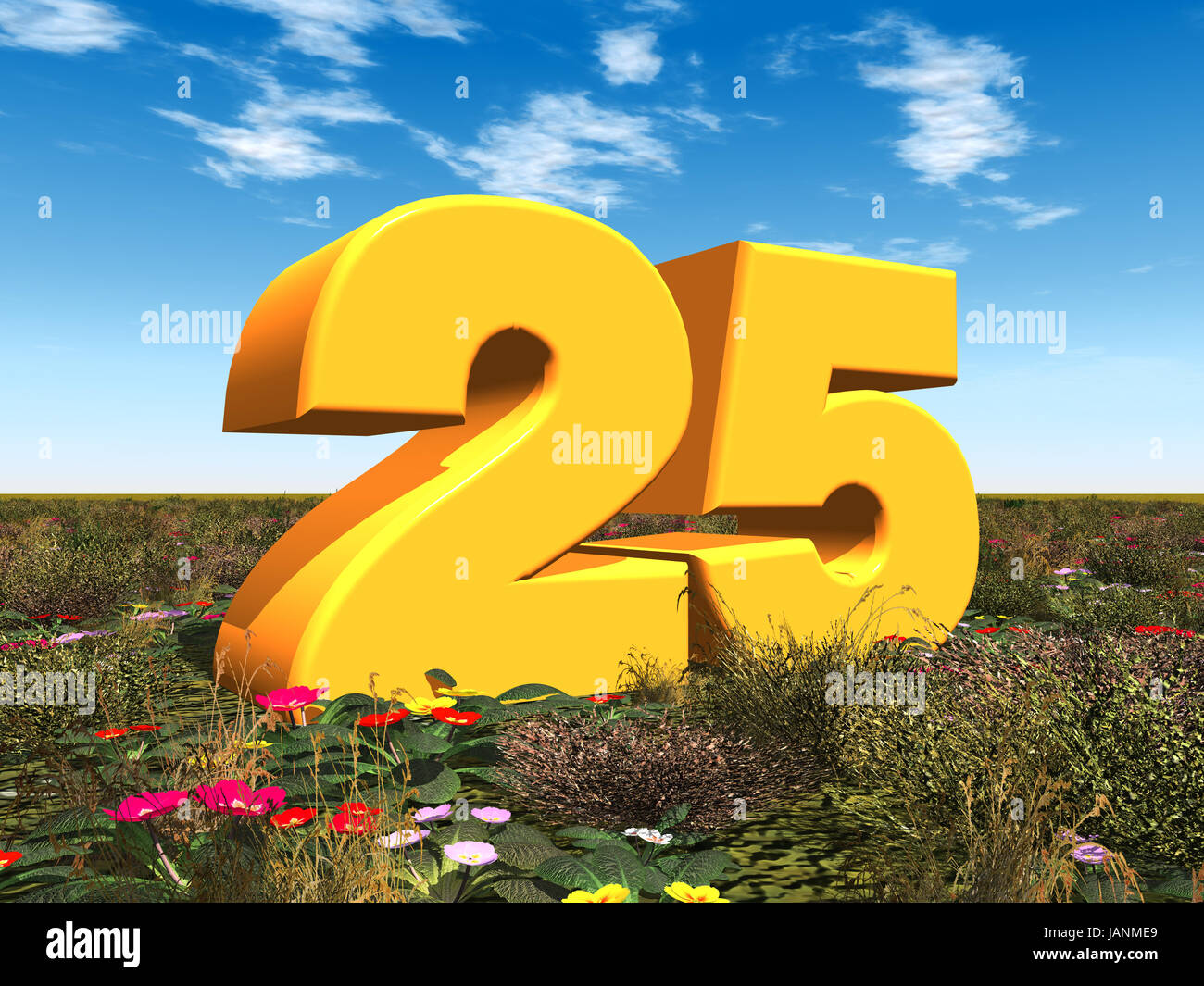 Cérémonie de mariage mariage Banque D'Images