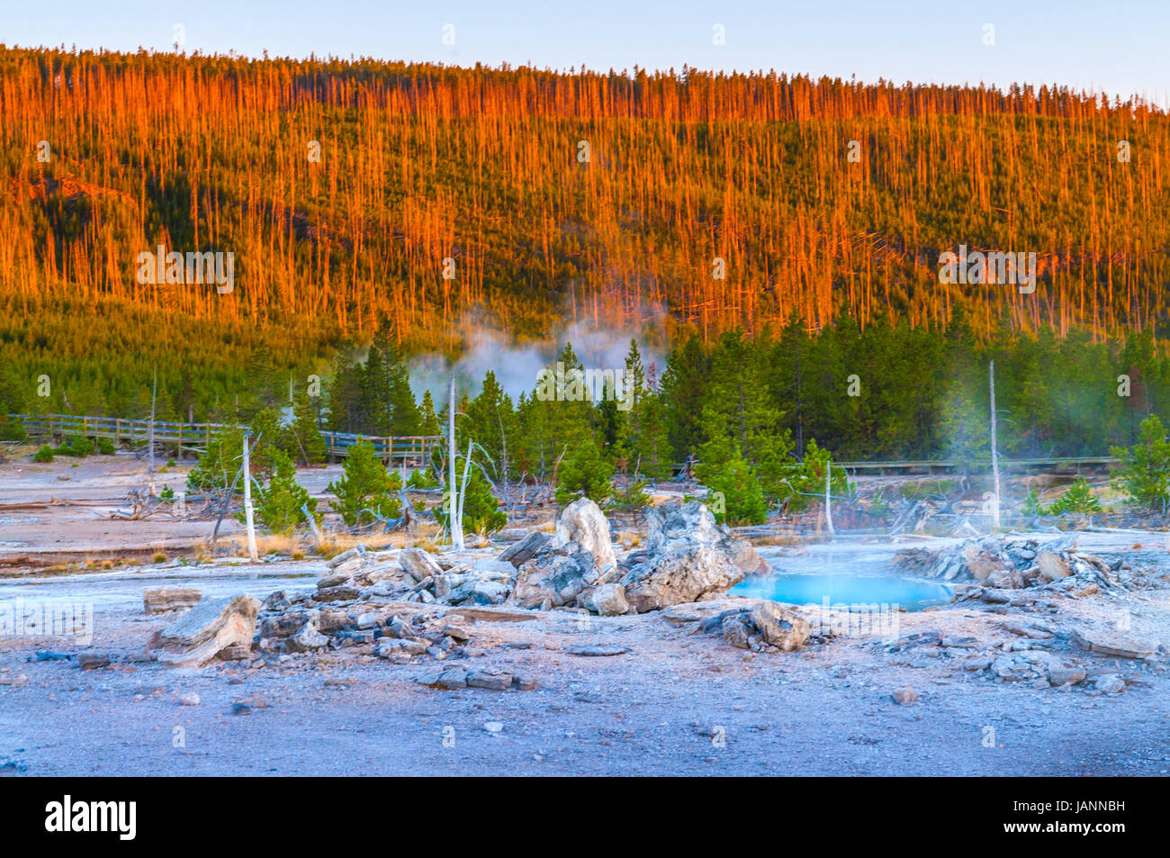 Geyser Porkchop au coucher du soleil - Yellowstone Basin Norris Banque D'Images