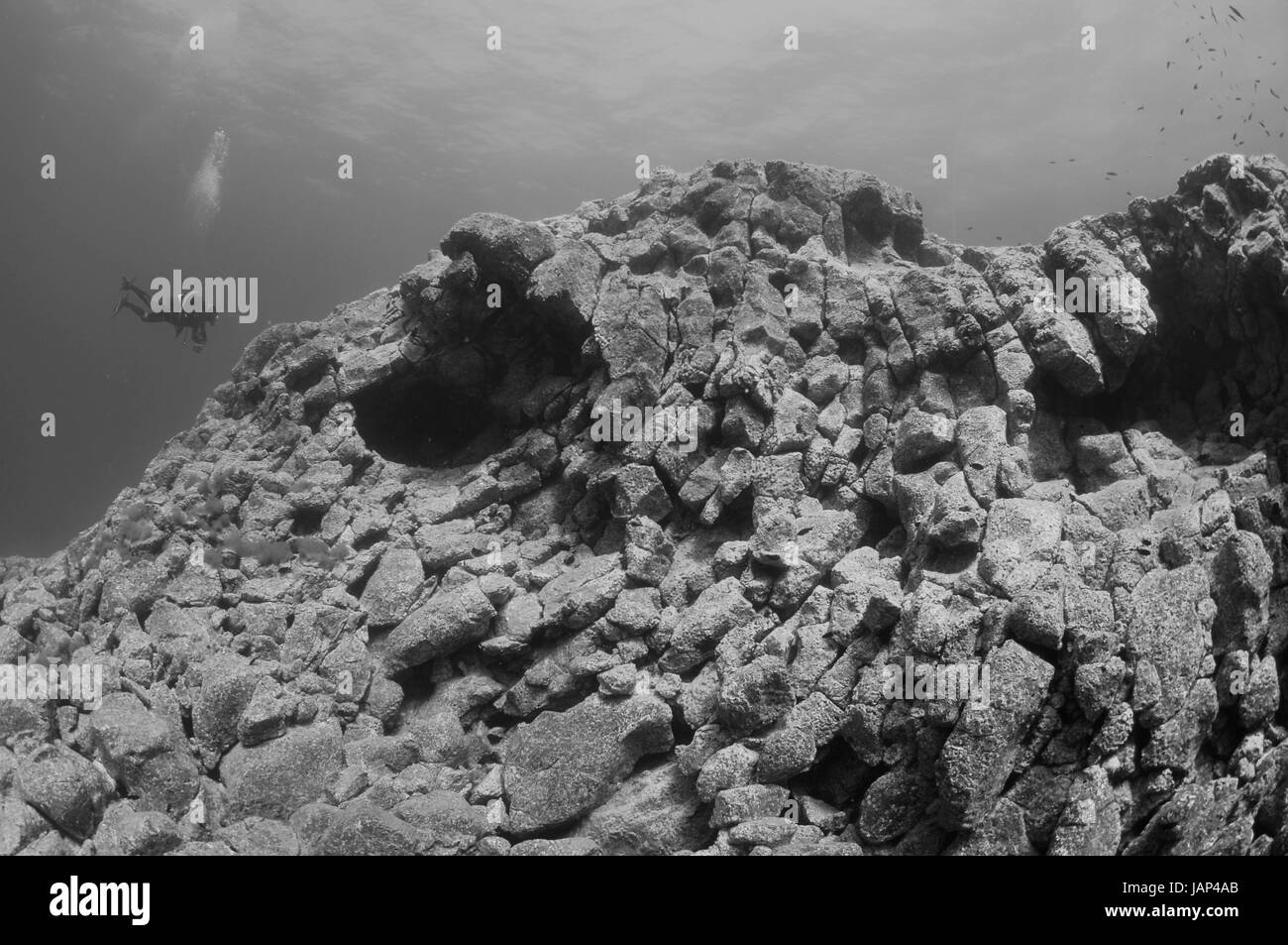 Seascape volcanique avec diver en Îles Selvagens, au Portugal Banque D'Images