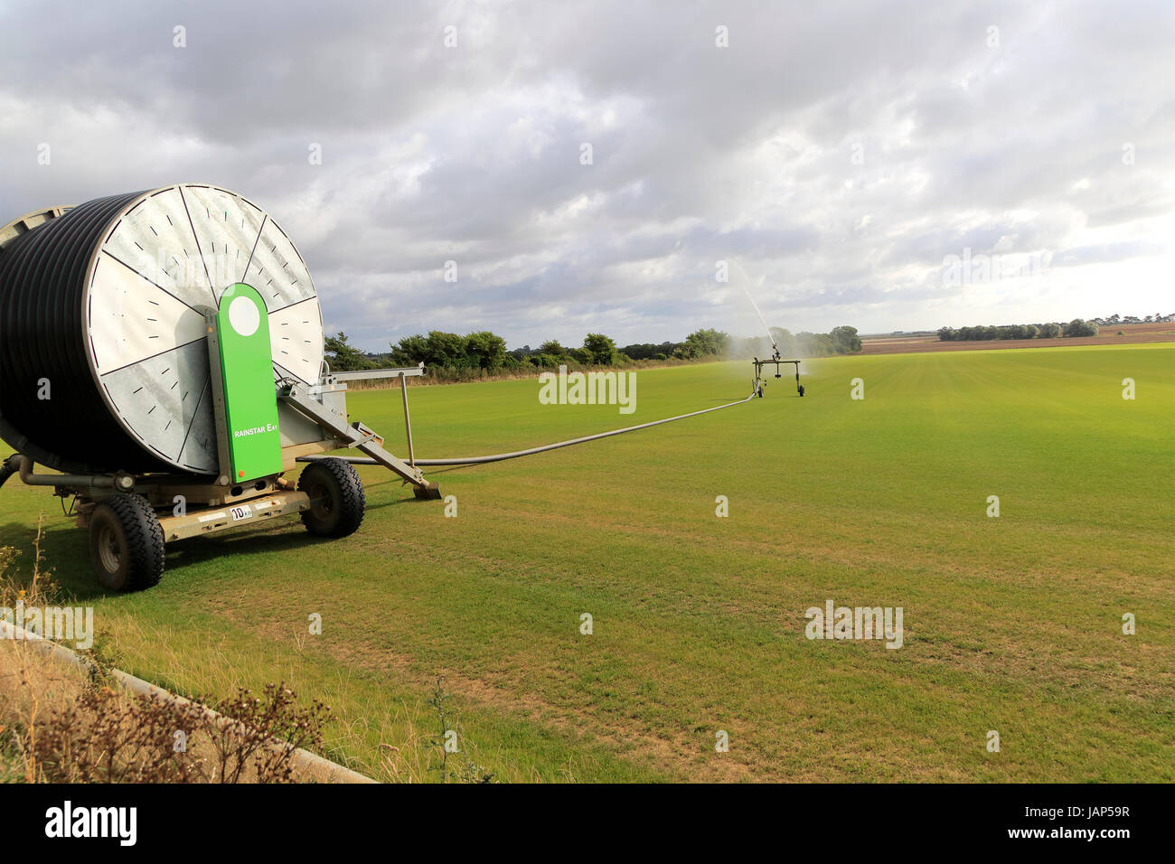 Rainstar irrigator pulvérisateur domaine de gazon herbe, Alderton, Suffolk, Angleterre, RU Banque D'Images
