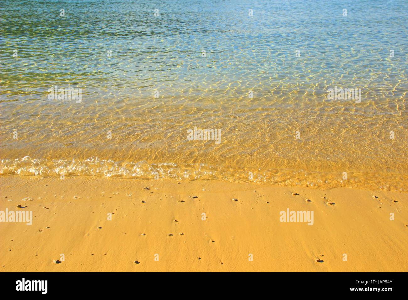 Plage de sable fin sur la mer Adriatique en Croatie Banque D'Images