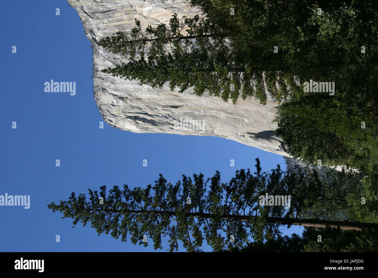 3 juin 2017 : Fichier : célèbre alpiniste Alex Gray a réalisé ce qui a été appelé 'le 'Moon-landing' de free-solo. Gray, 31, à l'échelle du Parc National Yosemite célèbre pic de 3000 pieds El Capitan en 3 heures, 56 minutes, à l'échelle nationale la capture de certaines parties de l'ascension. Il est déjà considéré par beaucoup comme le plus dangereux de free-solo (à l'échelle d'une apogée sans cordes ni équipement de sécurité) montée à jamais être terminé. Sur la photo : Sep 27, 2004 ; Yosemite, CA, USA ; du Yosemite El Cap, une populaire destination escalade dans le Parc National de Yosemite (crédit Image : © Krista chenil/ZUMAPRESS.com) Banque D'Images