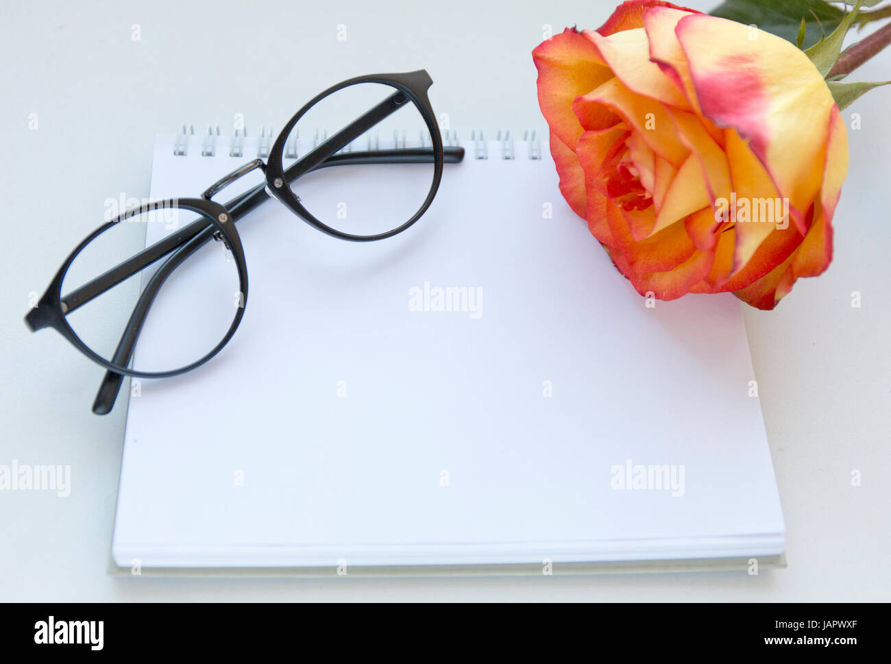 La maquette de l'ordinateur portable de l'art en rouge et jaune rose et de gaz . Vue d'en haut. Place pour le texte. Des fleurs Banque D'Images