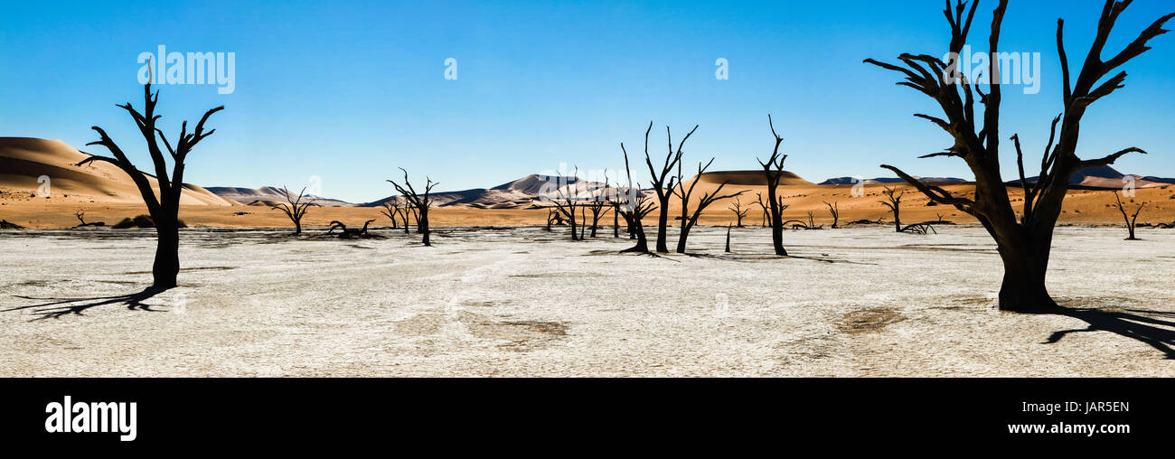 Les arbres morts et les dunes dans un marais salant. Désert brûlant. Banque D'Images