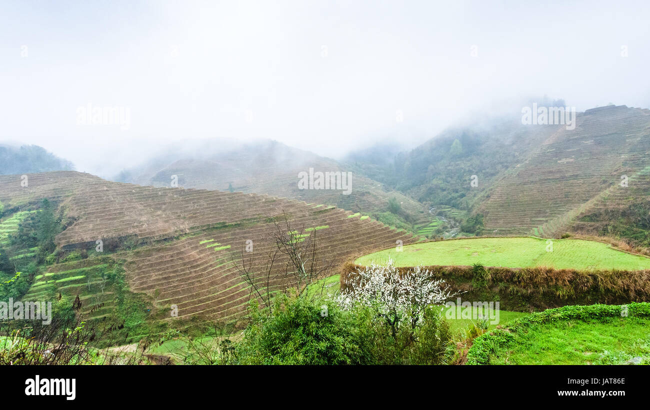 Voyage en Chine - voir ci-dessus des terrasses d sur des collines de Tiantouzhai village de Dazhai zone Longsheng rizières en terrasse (terrasse, épine dorsale du Dragon Banque D'Images