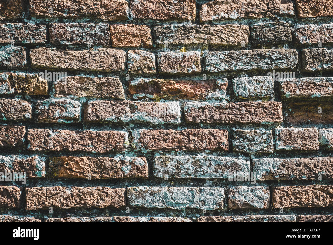 Mur de briques avec des lichens. La texture d'arrière-plan Banque D'Images
