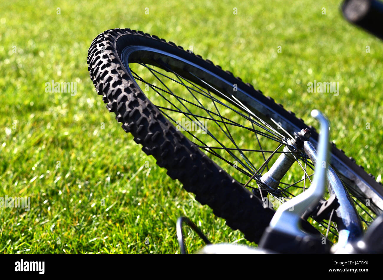 Gros plan d'une roue de bicyclette qui contraste avec l'herbe Banque D'Images