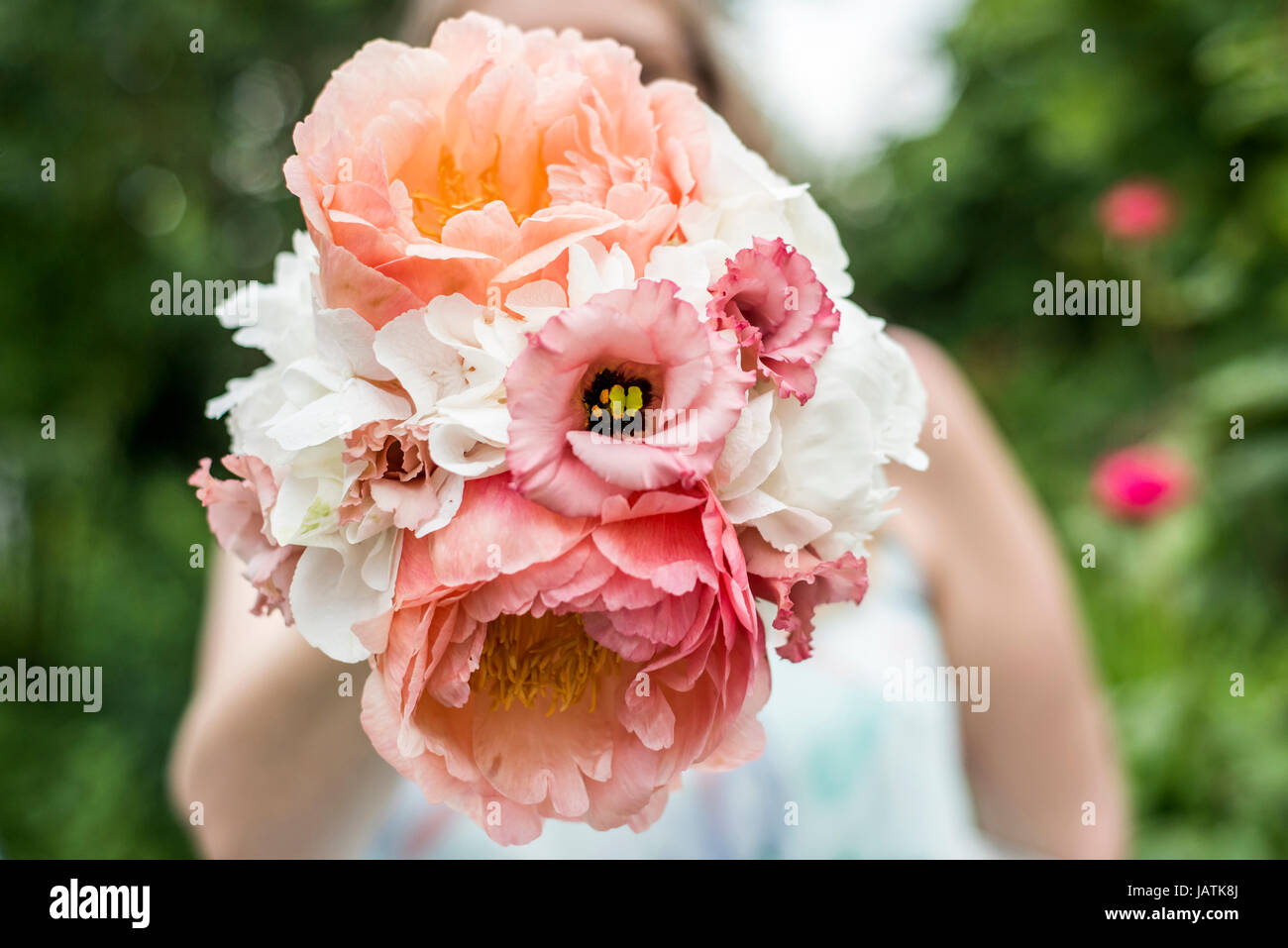 Bouquet de fleurs de mariage tenu par une épouse libre. Fleur Rose Banque D'Images