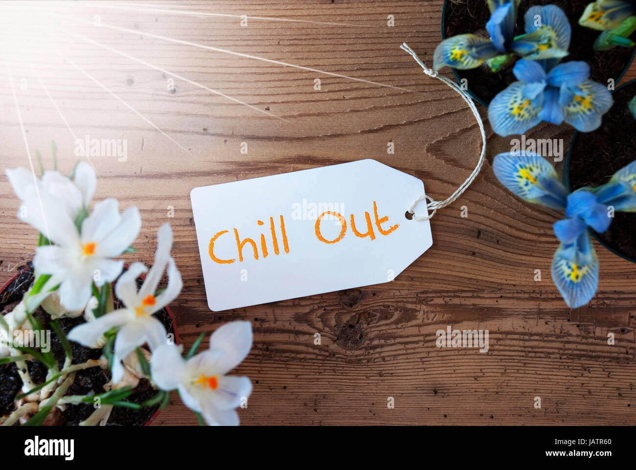 Fleurs de soleil, Label, texte Chill Out Banque D'Images