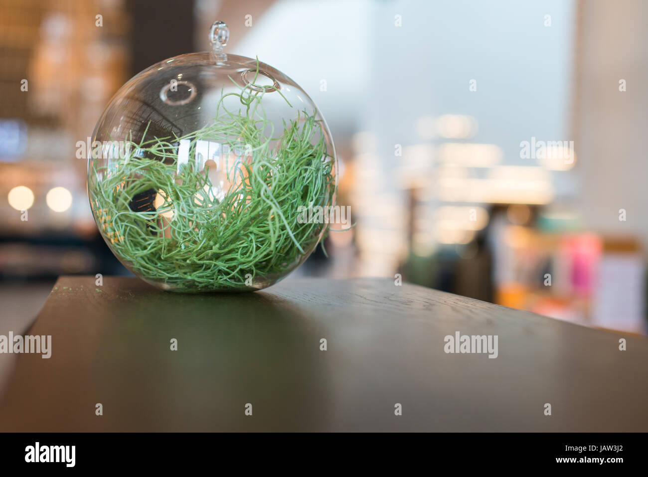 Les plantes de l'air dans la bille de verre sur table en bois contre l'arrière-plan flou intérieur. Selective focus Banque D'Images