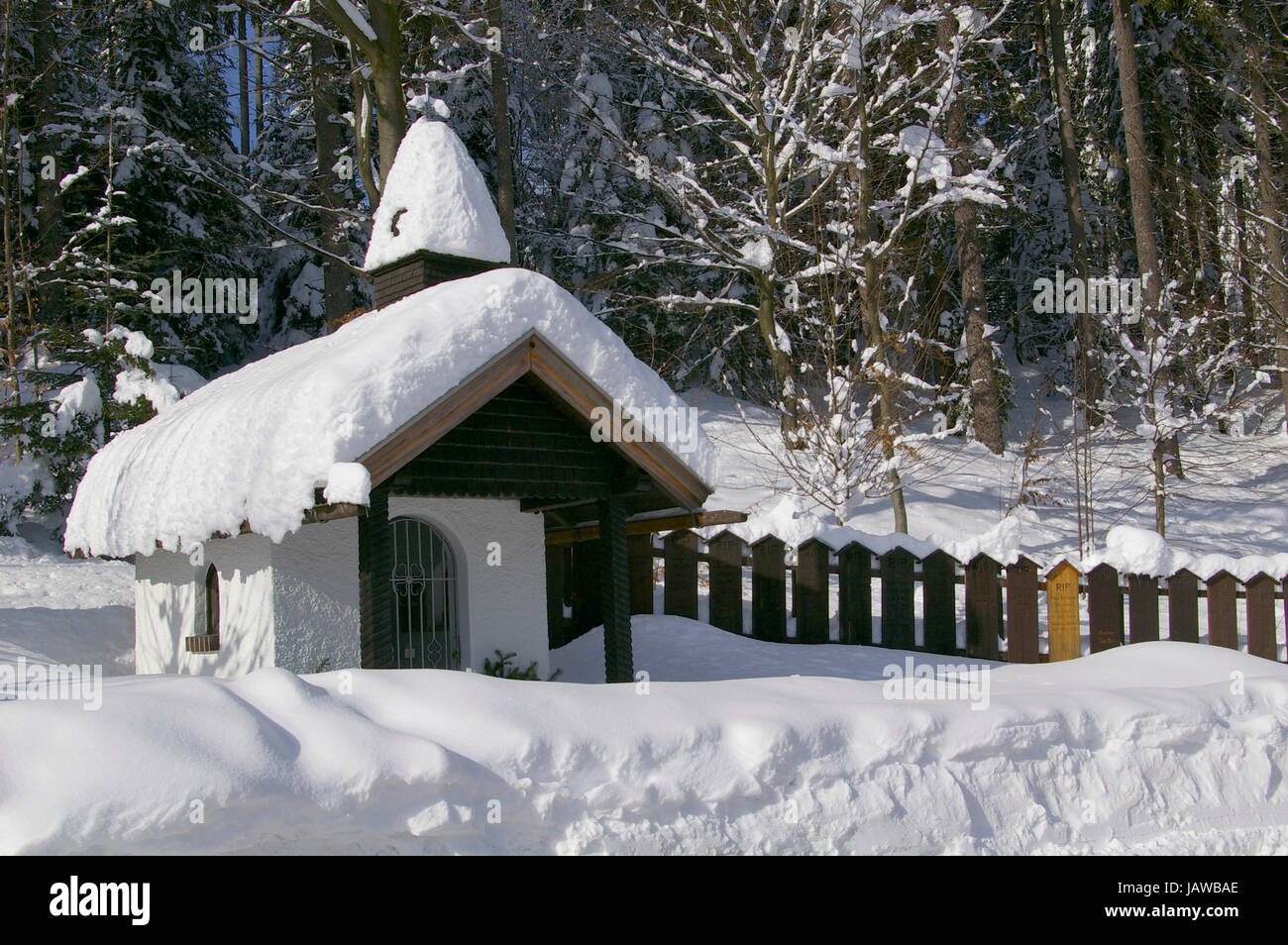 L'hiver dans la forêt de Bavière - zwiesel Banque D'Images