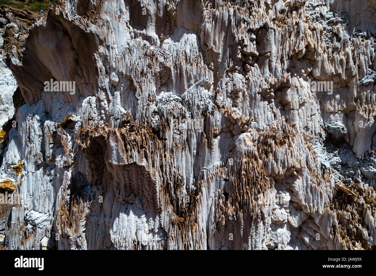 Les dépôts de sel sur l'argile. Banque D'Images