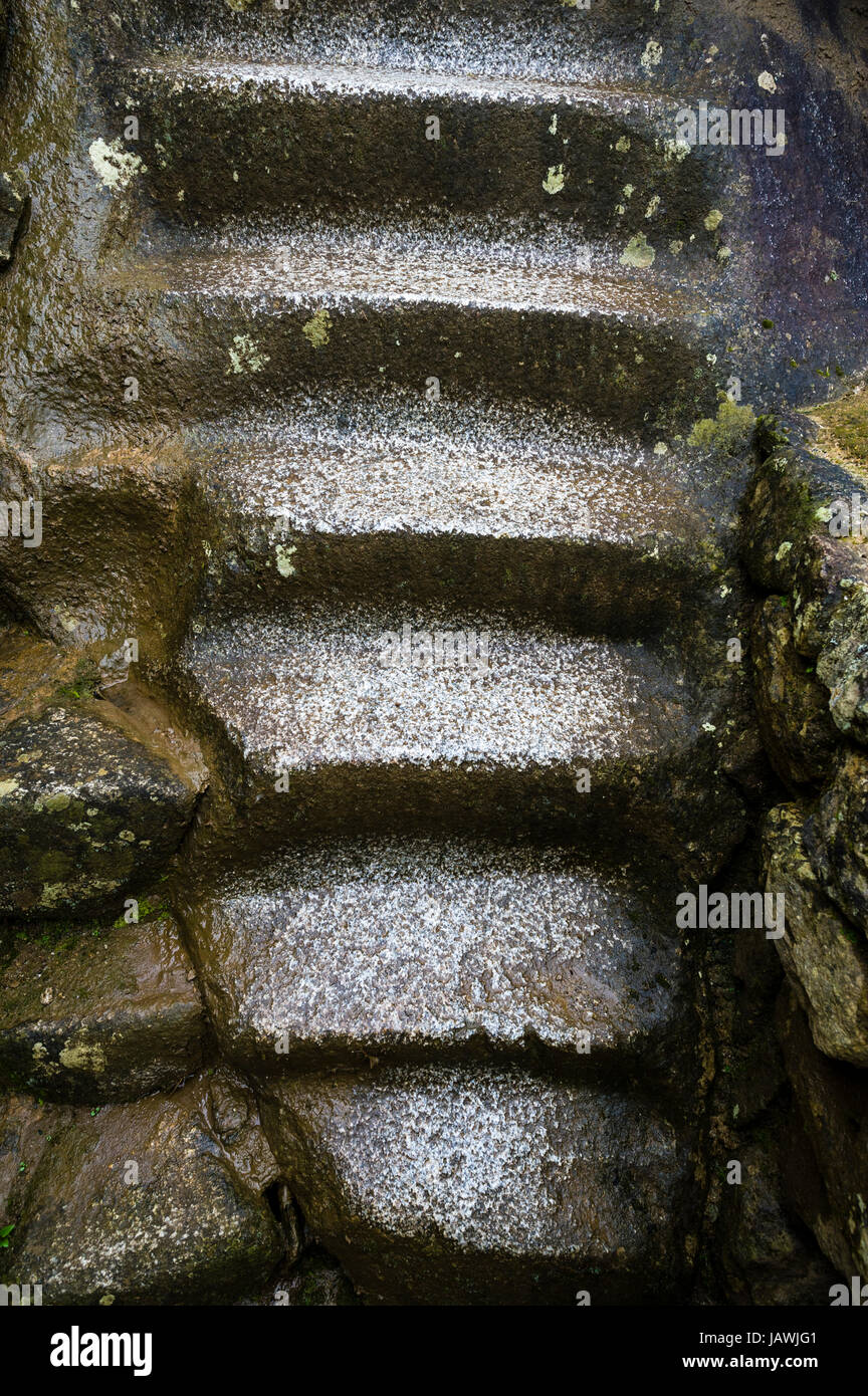 Les étapes en pierre sculptée dans le Temple du Condor. Banque D'Images