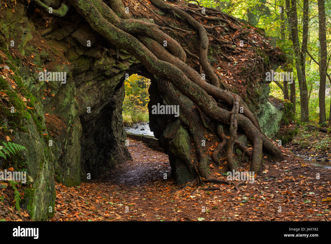 Selketal-Stieg im herbstlichen Gewand Banque D'Images