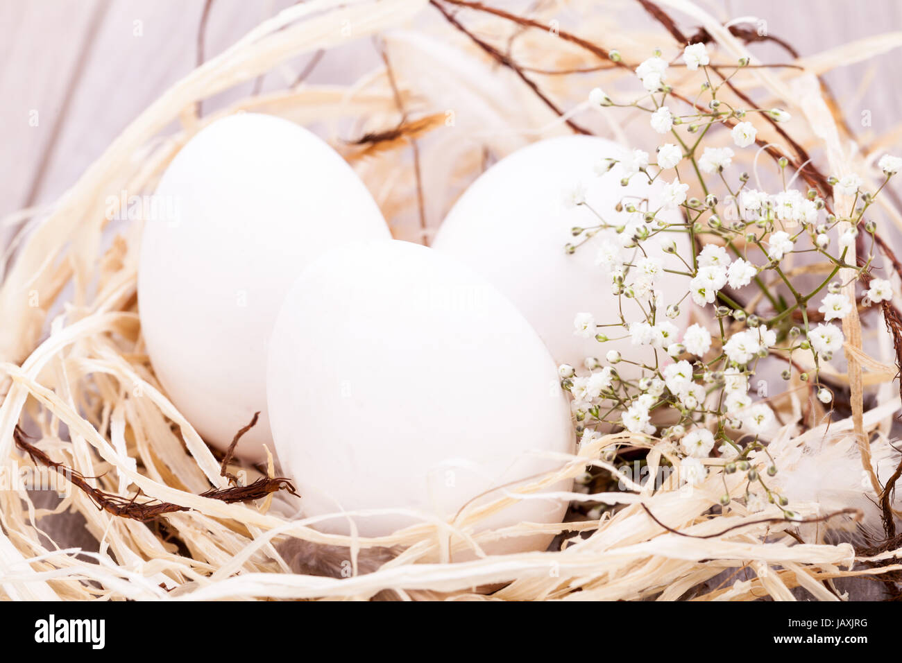 Weisse eier mit blüten im nest aus stroh ostern dekoration ostereier Banque D'Images