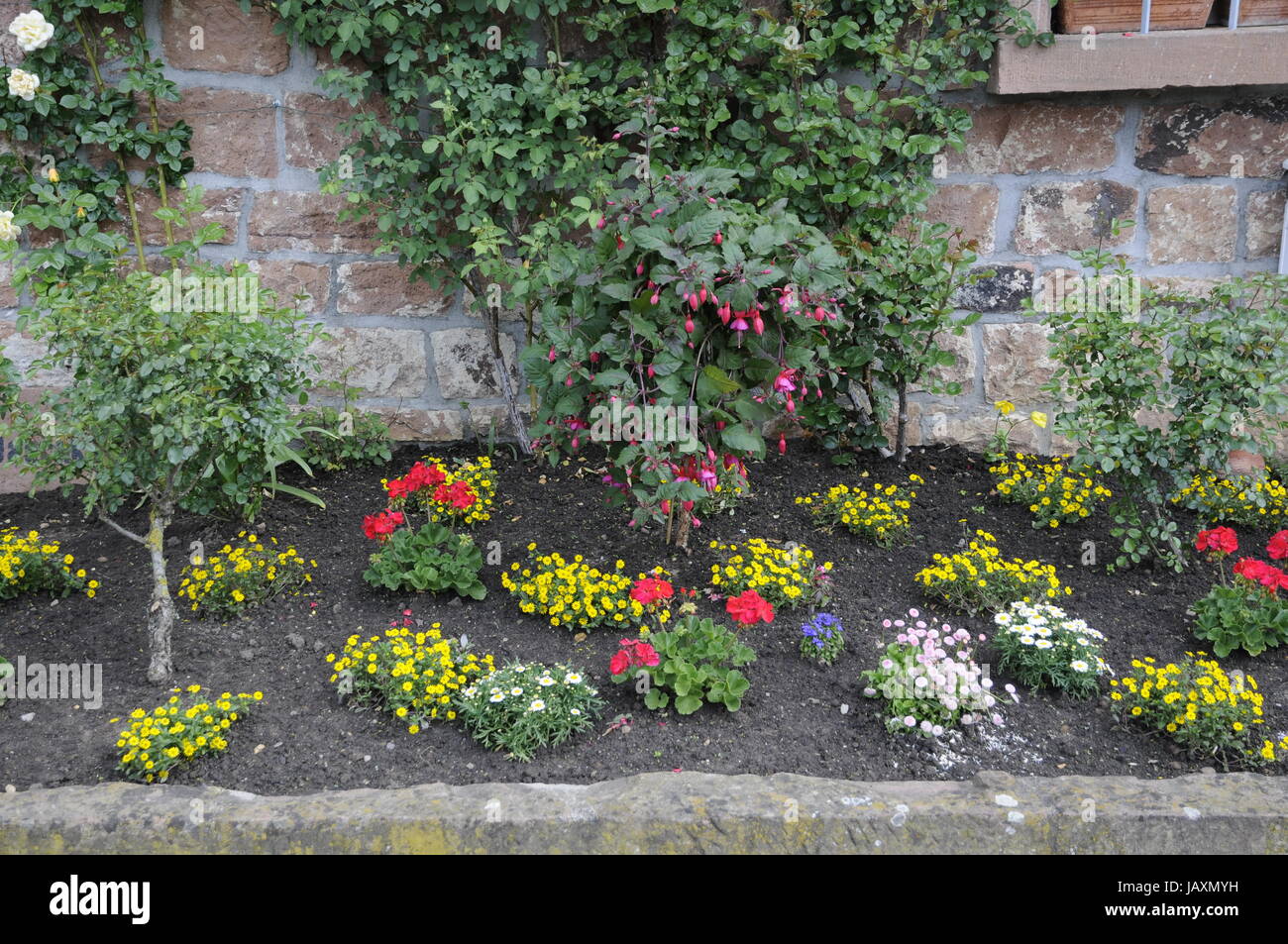 Blumenrabatte, rabatte, blumen, zierpflanzen, garten, parc
