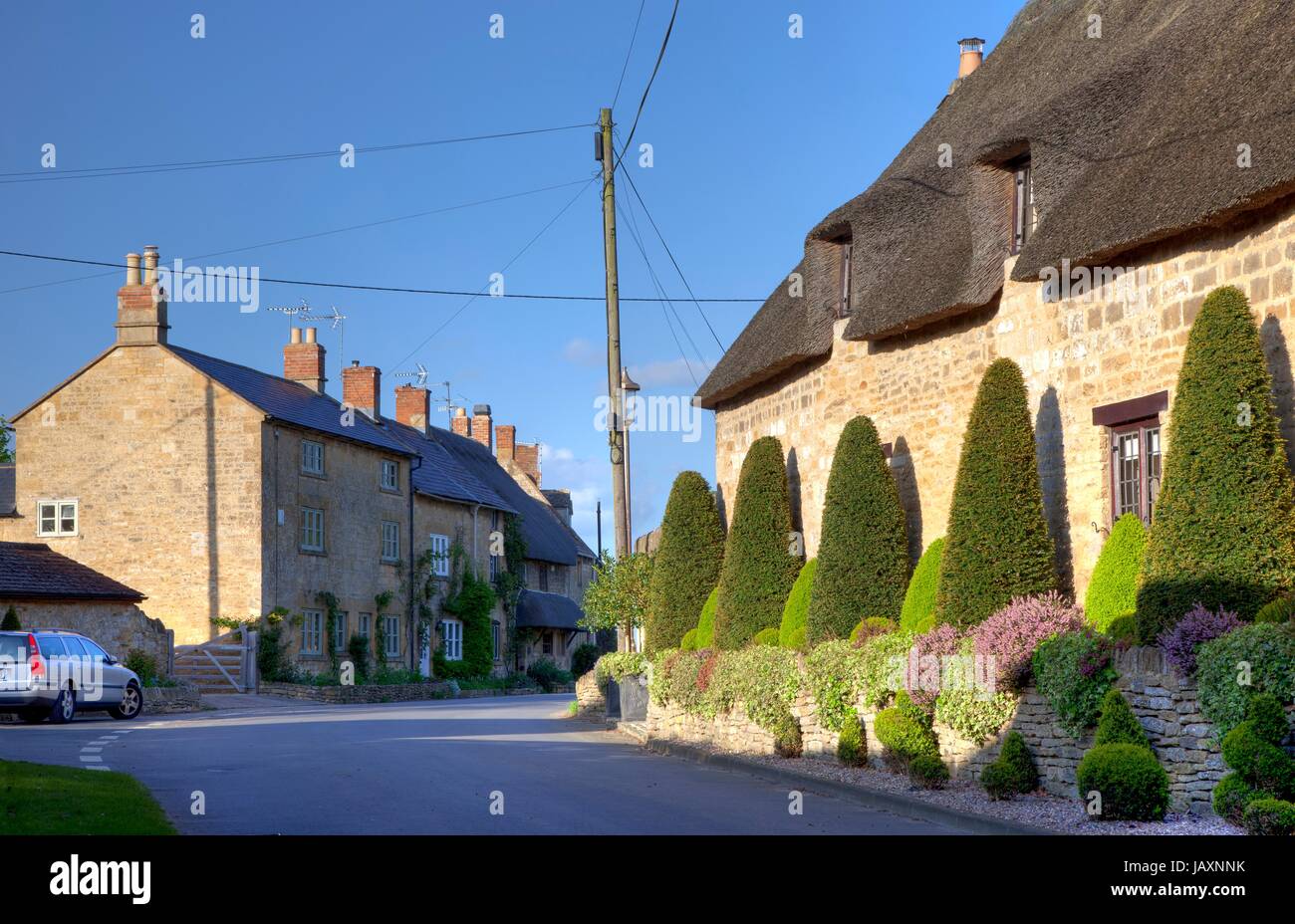 Topiaire clippé en dehors de chaumière, vaste Campden près de Chipping Campden, Gloucestershire, Angleterre. Banque D'Images