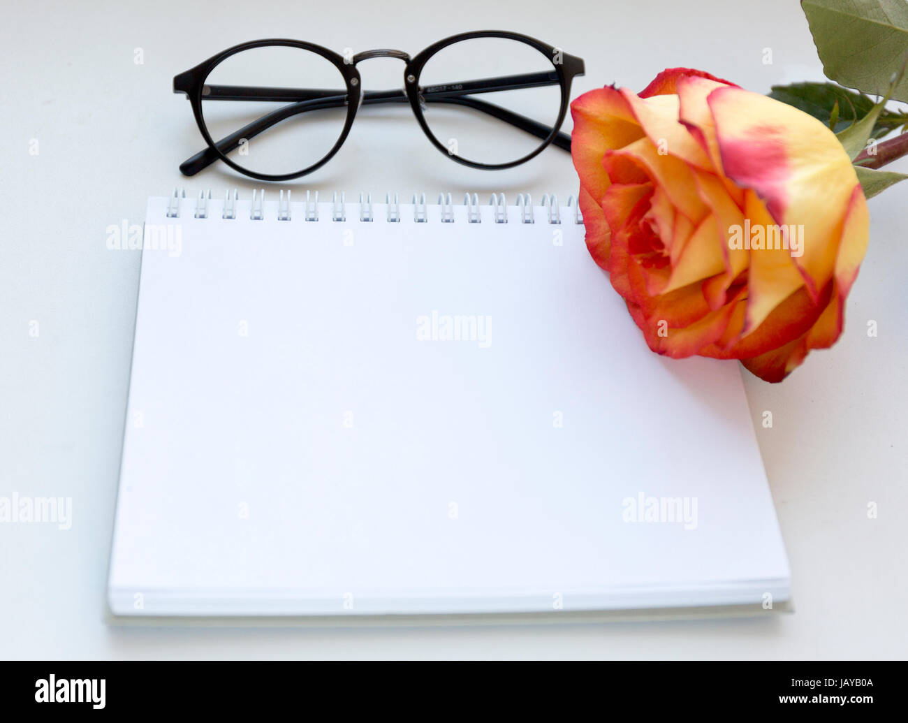 La maquette de l'ordinateur portable de l'art en rouge et jaune rose et de gaz . Vue d'en haut. Place pour le texte. Des fleurs Banque D'Images