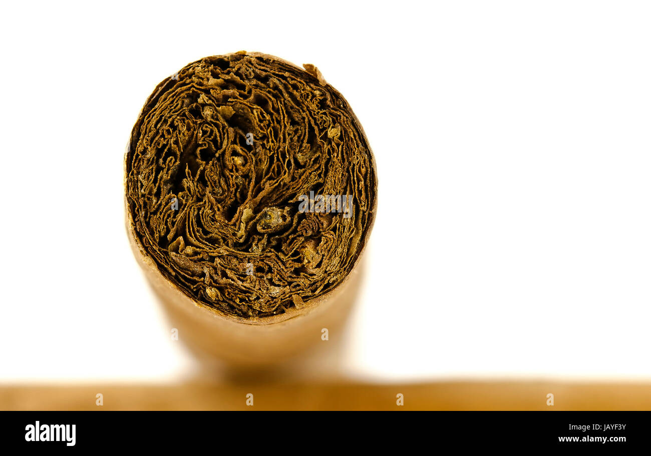 Schnittfläche einer großen Zigarre ; d'une grande surface de coupe cigare de couleur brune Banque D'Images