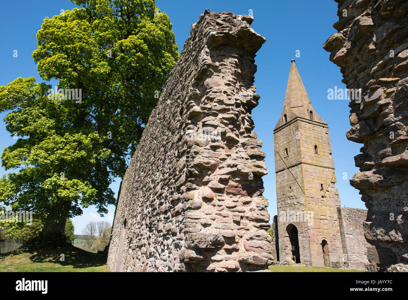 Abbaye de Restenneth près de Forfar, Angus, Scotland. Il est soupçonné d'avoir été fondée par Nechtan, roi des Pictes sur AD 715. Banque D'Images