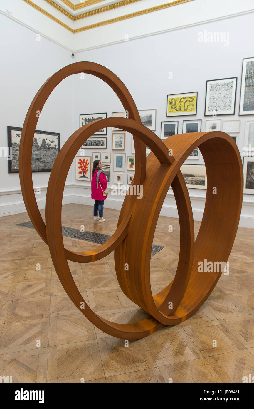 Royal Academy of Arts, Londres, Royaume-Uni. 8 juin, 2017. Plus de 1200 œuvres exposées dans la plus grande exposition de présentation dans le monde, l'exposition d'été annuel de RA. Coordonné par Eileen Cooper RA, l'exposition comprend des travaux par des artistes de renommée internationale y compris Rosemarie Trockel, Julian Schnabel, Hassan Hajjaj, Avenida Hernández, Isaac Julien, Tomoaki Suzuki, Mark Wallinger et Sean Scully RA plus exposés par les nouveaux académiciens royale dont Gilbert & George et David Adjaye. La plupart des œuvres exposées sont à vendre. Credit : Malcolm Park editorial/Alamy Live News Banque D'Images