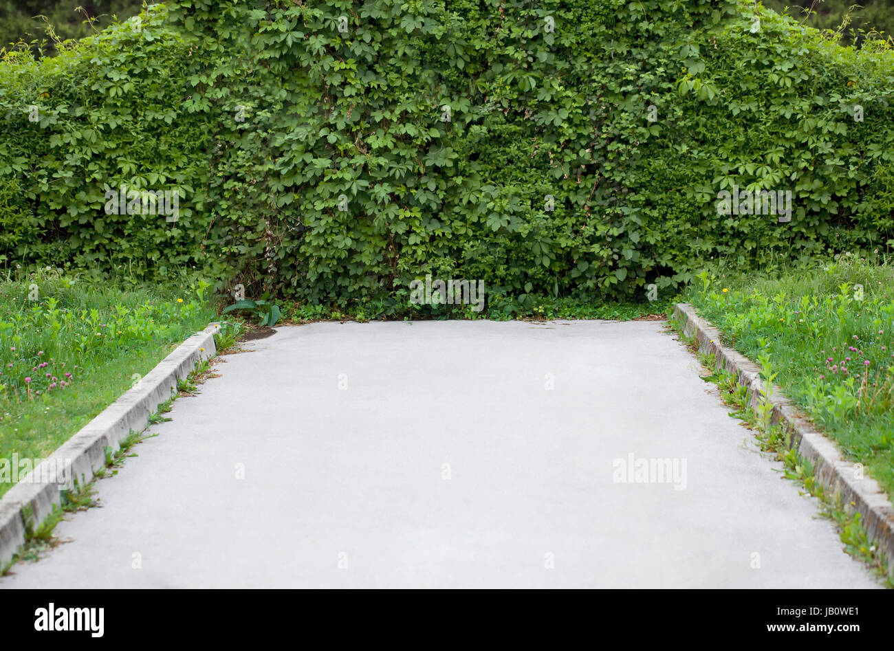 L'asphalte Dead End Road to Nowhere Banque D'Images