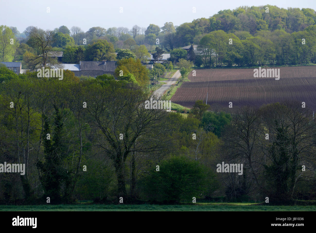 Paysage de printemps, petite route et fermes (au nord de la Mayenne, pays de la Loire, France, Europe). Banque D'Images