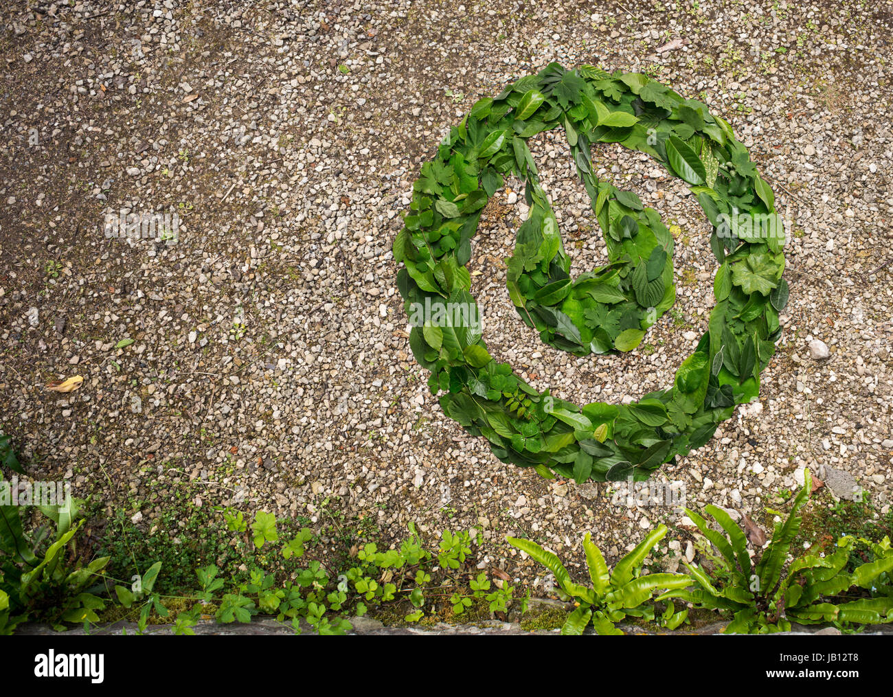 Symbole d'alimentation fabriqués à partir de feuilles vertes Banque D'Images