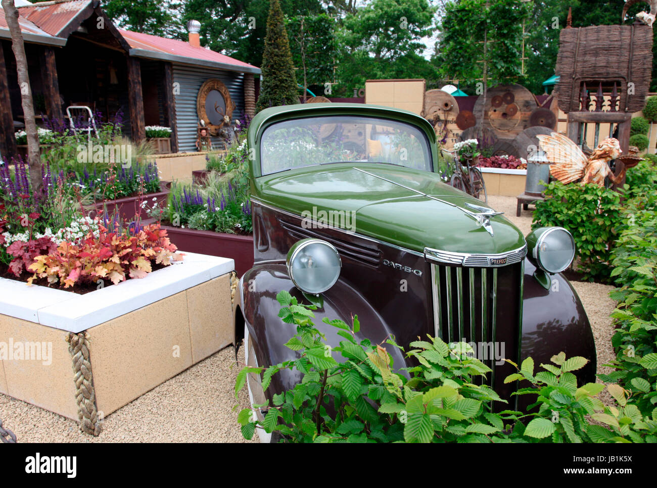 Hibernia Rustica, lauréat du Prix 2017 Jardin Super Bloom Banque D'Images