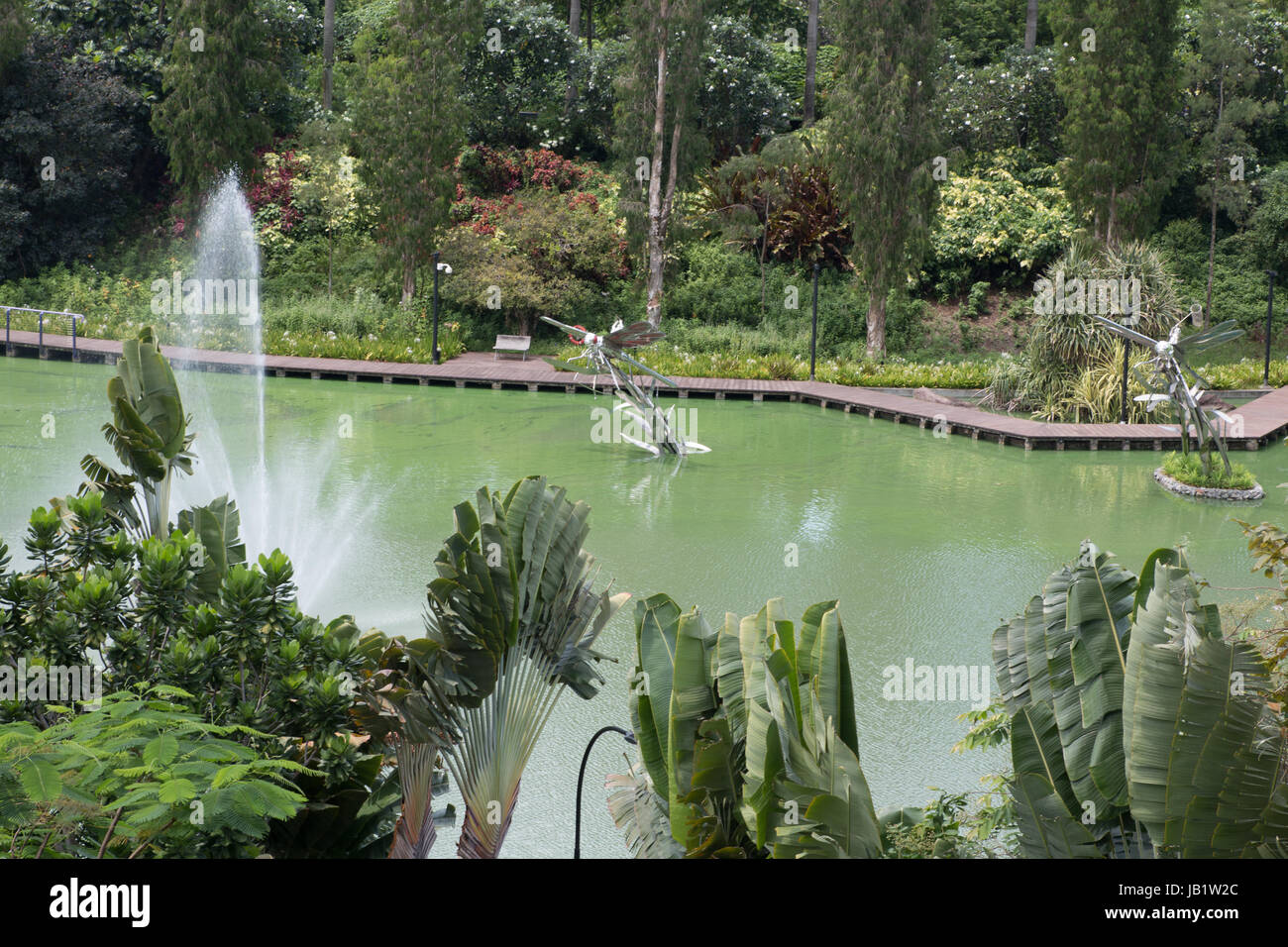 Étang de libellules dans des jardins par le Bay Singapour Banque D'Images