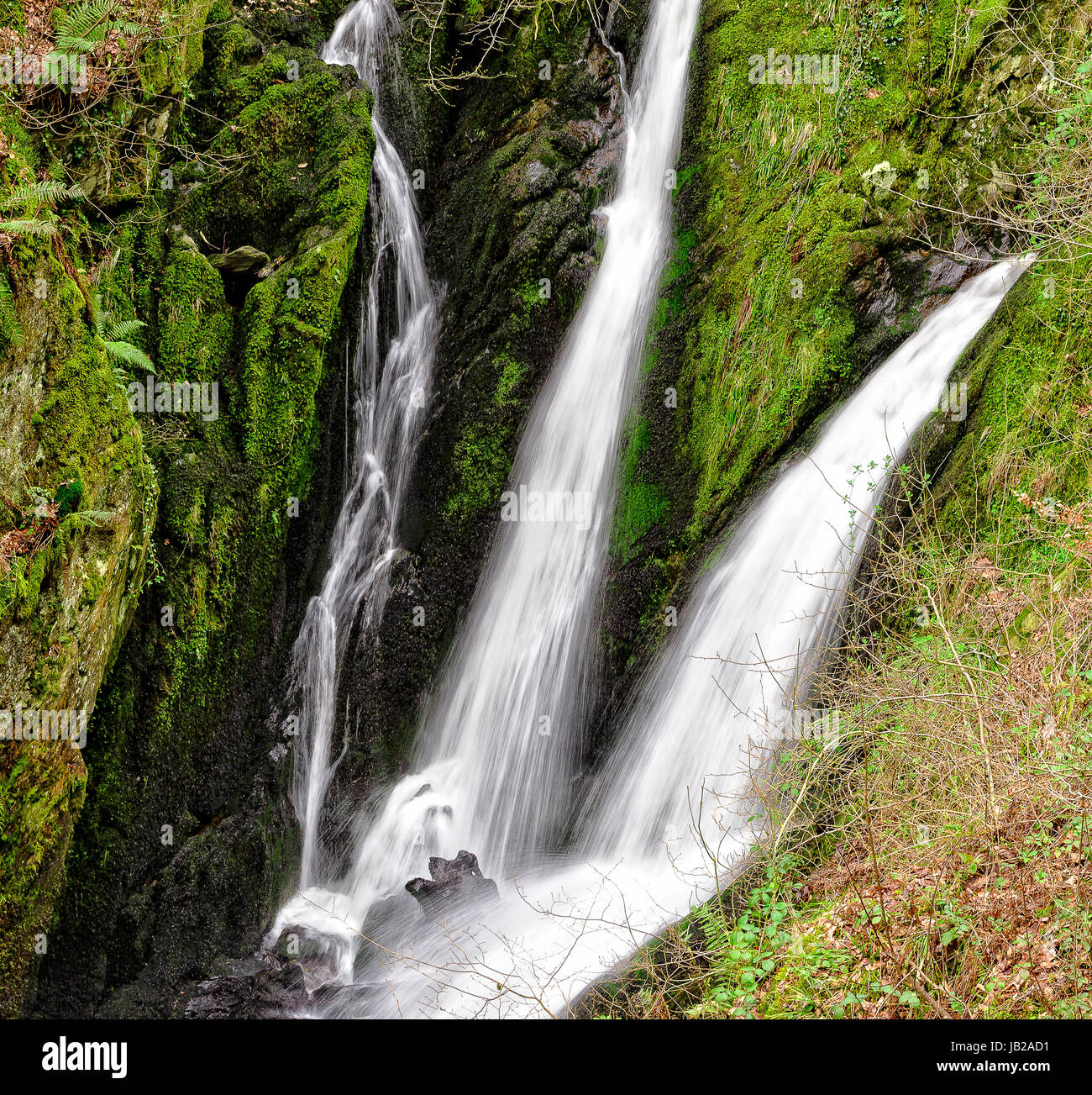 Stock ghyll force, ambleside Banque D'Images