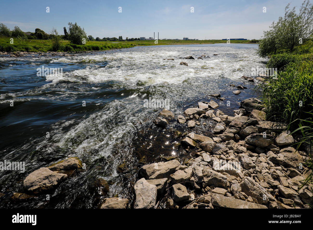 Lippe, renaturalized paysage de prairie à proximité de l'estuaire de la rivière dans le Rhin, Wesel, Bas-rhin, Rhénanie du Nord-Westphalie, Allemagne, Europe, Euskirchen, renat Banque D'Images