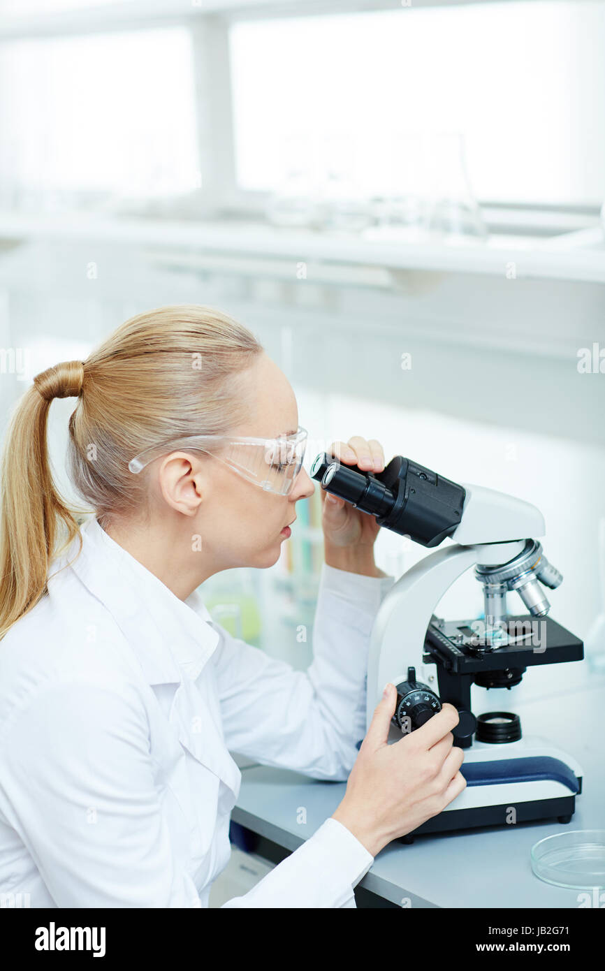 Bond Female Scientist Working in Laboratory Banque D'Images
