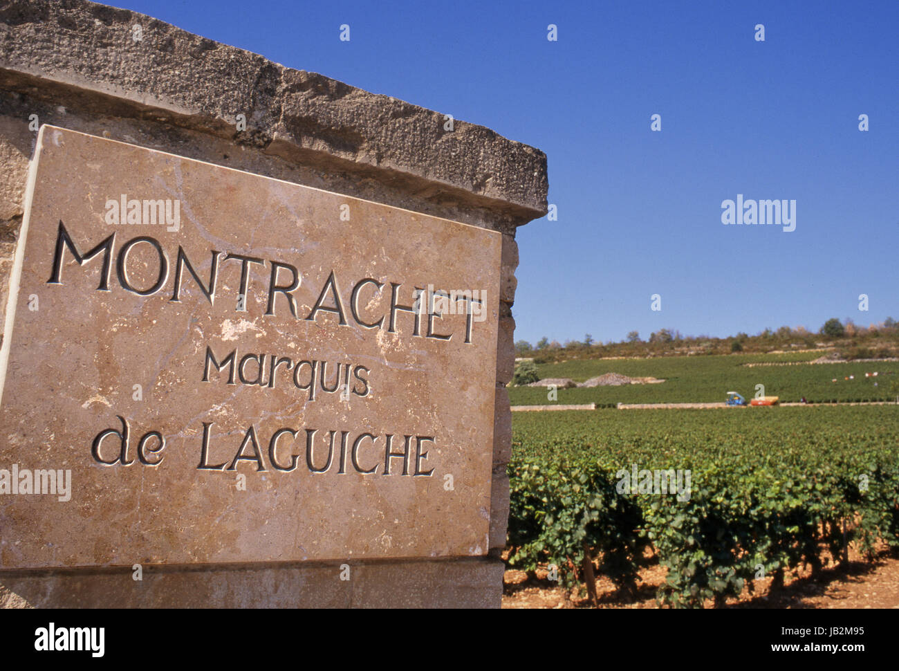 MONTRACHET Marquis de Laguiche plaque de pierre à l'entrée du pilier pour la parcelle de Grand Cru 'Le Montrachet' vignoble. Puligny-Montrachet, Bourgogne, France Banque D'Images