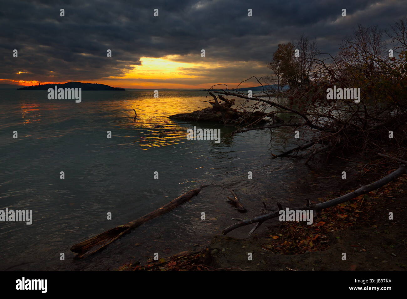 Un très sombre et moody photo d'un coucher de soleil sur le lac, avec des arbres et des plantes dans l'ombre et de la lumière du soleil forte d'être sorti d'un trou dans les nuages Banque D'Images