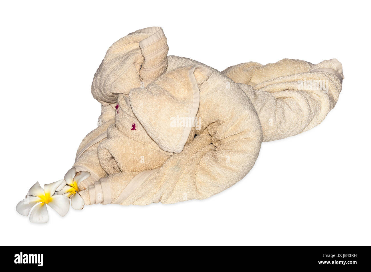 Éléphant serviette isolé sur fond blanc avec clipping path Banque D'Images