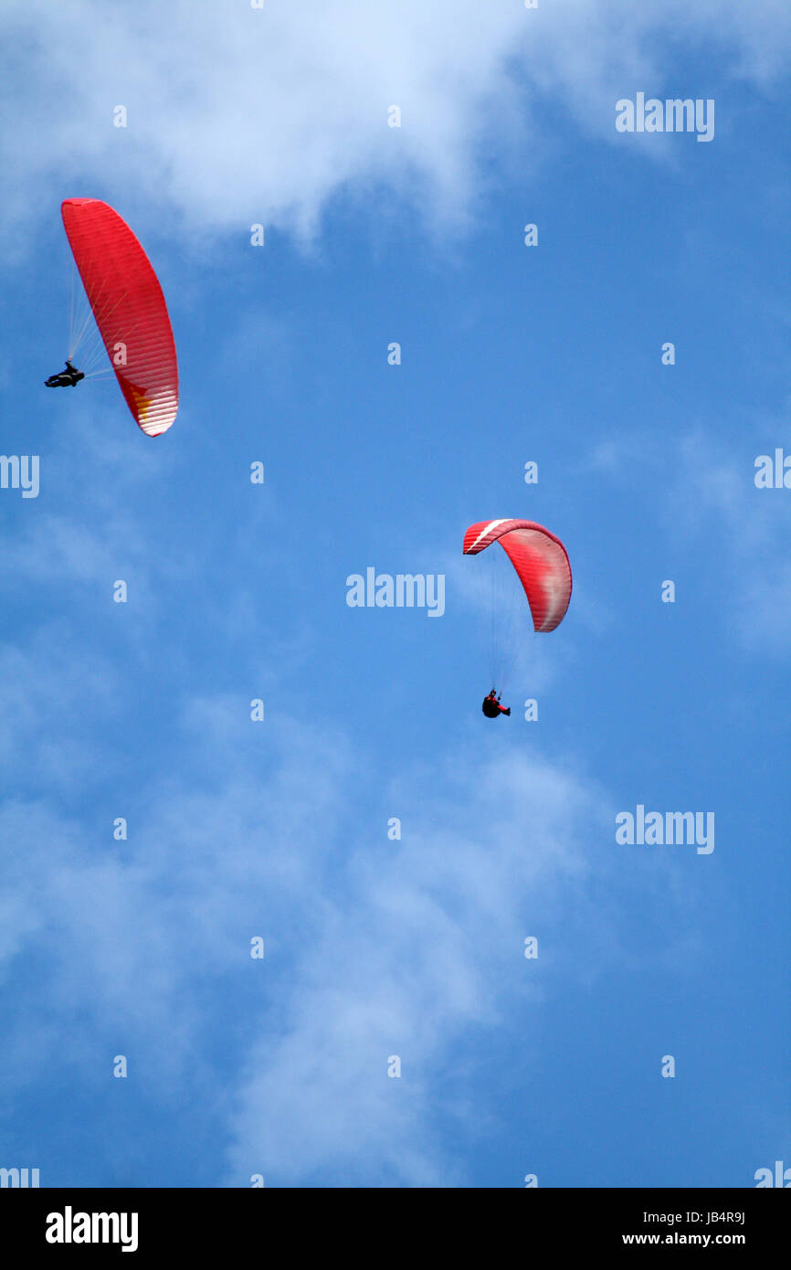 Deux planeurs para sur fond de ciel bleu Banque D'Images