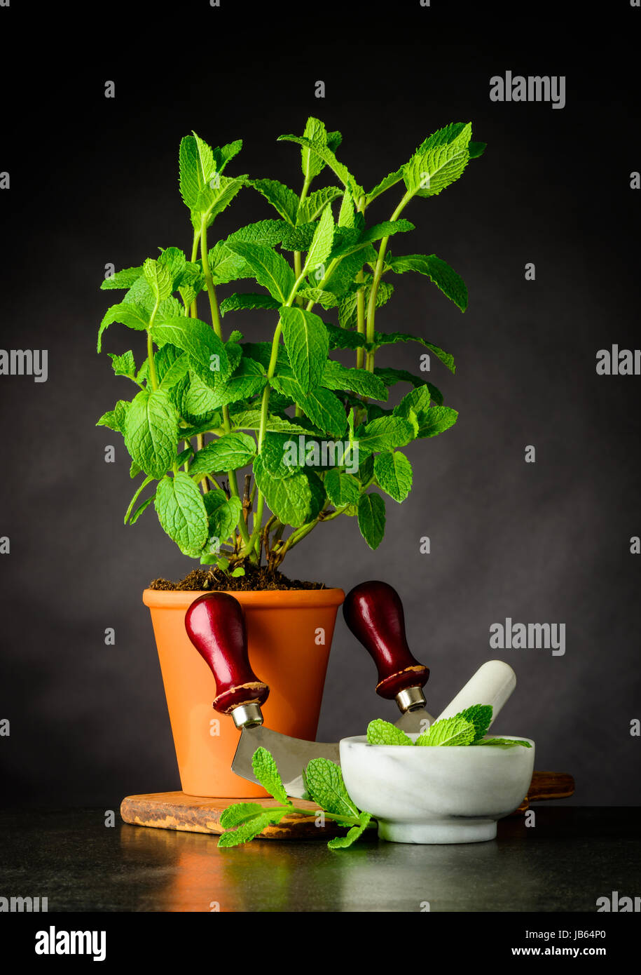 Pinte Plante Pot Poterie avec pilon et d'un mortier et d'ustensiles de cuisine broyeur herbe Mezzaluna Banque D'Images